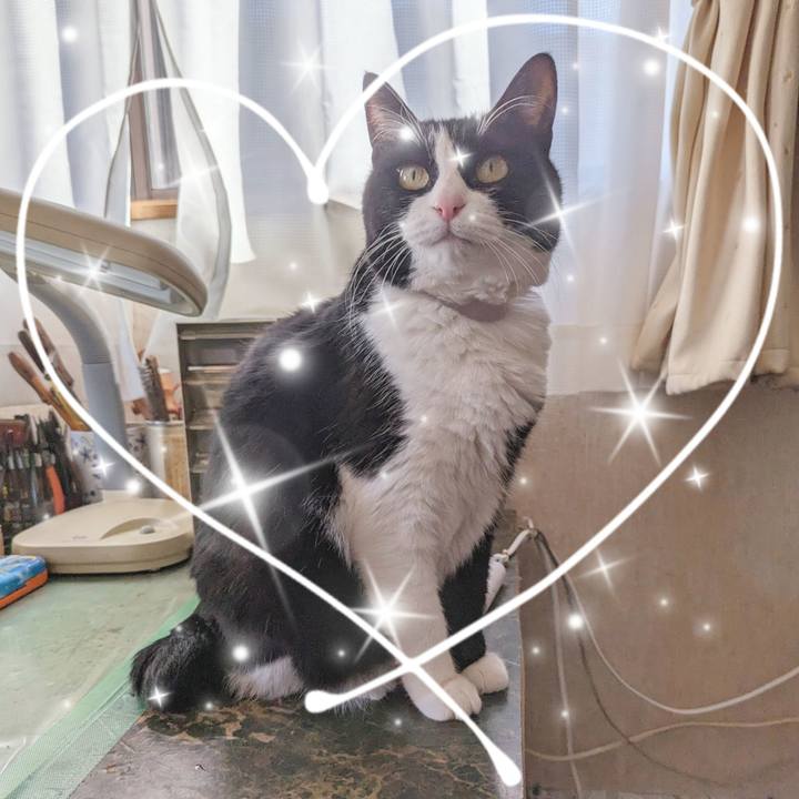 551de828 7c91 4239 a10d 44c279967e00 1709004530398