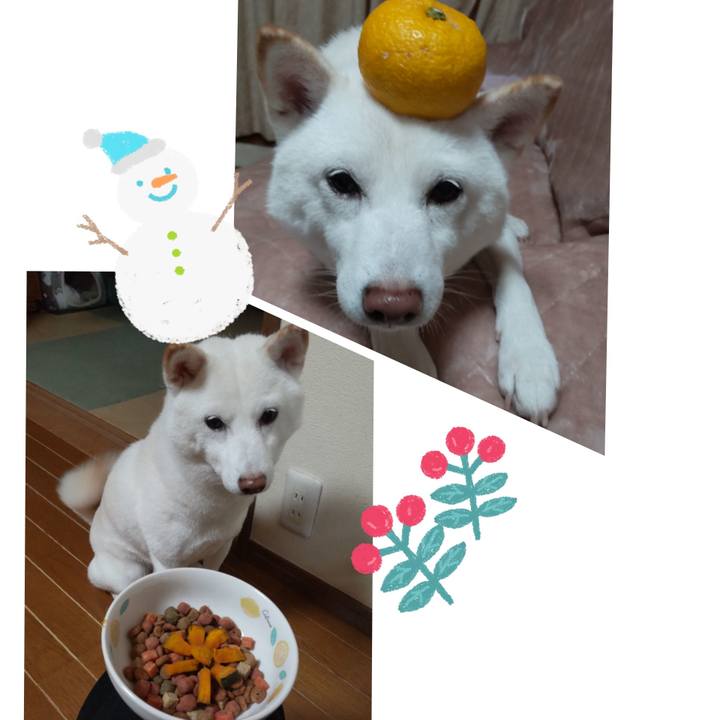 551dffd4 52b3 41f3 9a68 f527cd3dccc1 1640169318637