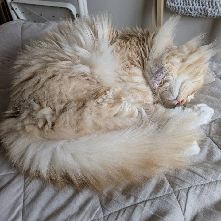 551e29fb 0f85 47a3 aeae 7943642f9cd5 1754100396134