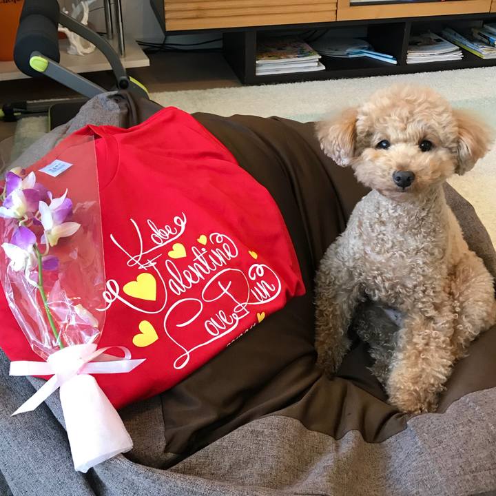 551e5141 72f8 4435 83cd 7bf71473d320 1518334186725