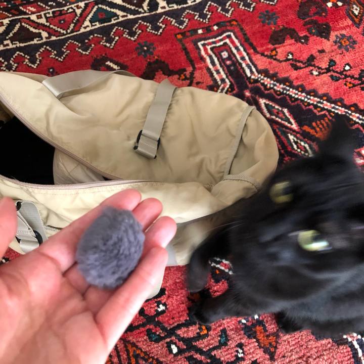 551e5325 b889 4921 ae3f e075b1018c77 1559451312930