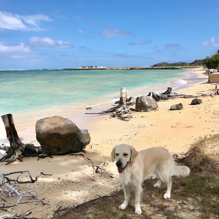 551e6313 3a7a 4295 921d 7a807f76b9f3 1549247332348