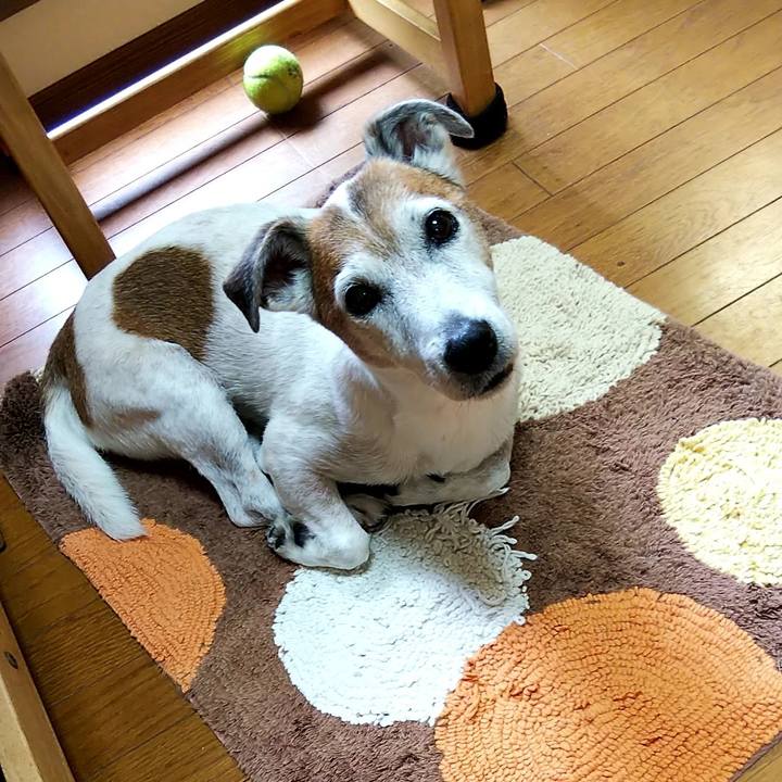 551e7dd0 b635 4b72 9470 469fd6f7a93d 1561873193570