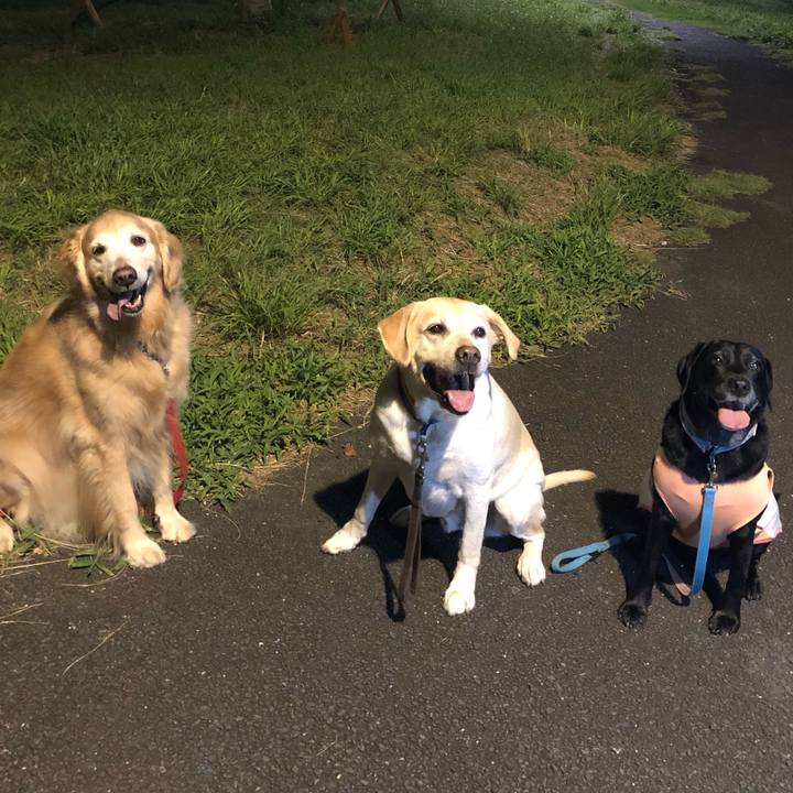 551e9544 ae64 4928 abf1 5dc0378081bf 1536408232624