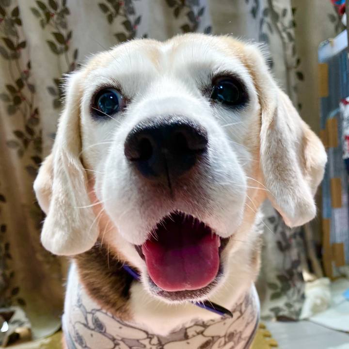 551e9ae5 fc3e 421e b8df 67d78b7dbde8 1626408538504