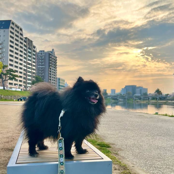 551ea5f3 317c 4e46 8ee2 7c2b3db32f85 1774827686640