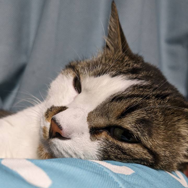 551ec3f7 717a 42c6 a8e3 6033e19ab976 1714477835554