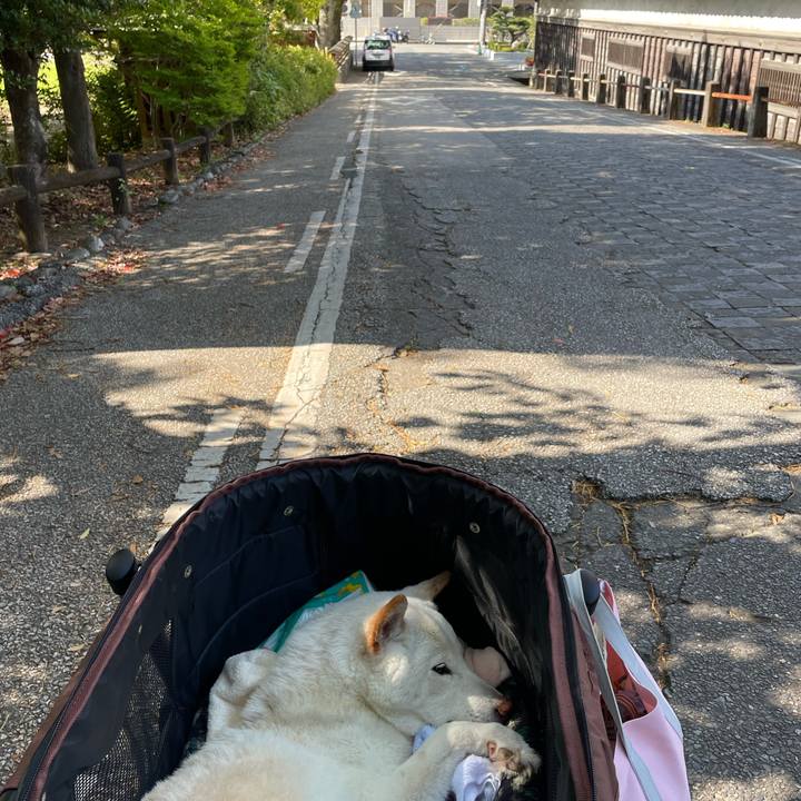 551ec446 bdb7 4f49 beb5 f66ce1d44500 1650204147436