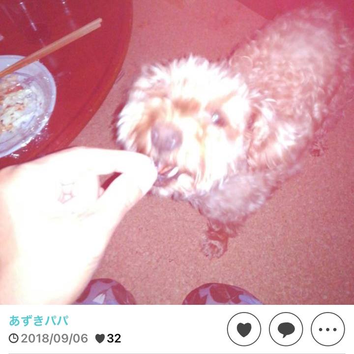 551edffc c7ef 4622 a5ff 27c4660a8da6 1630928090706