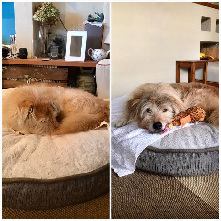 551f087e d70c 430c 87b9 bc56bdd8694a 1583738350664