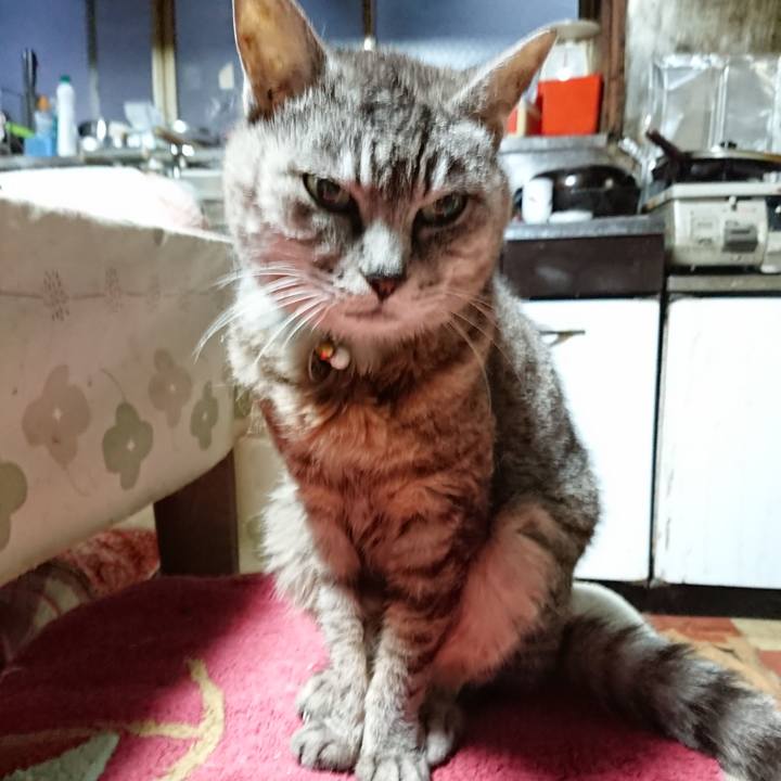 551f46ba 06b3 41b8 9cd6 b6c0d83e4b26 1567281880246