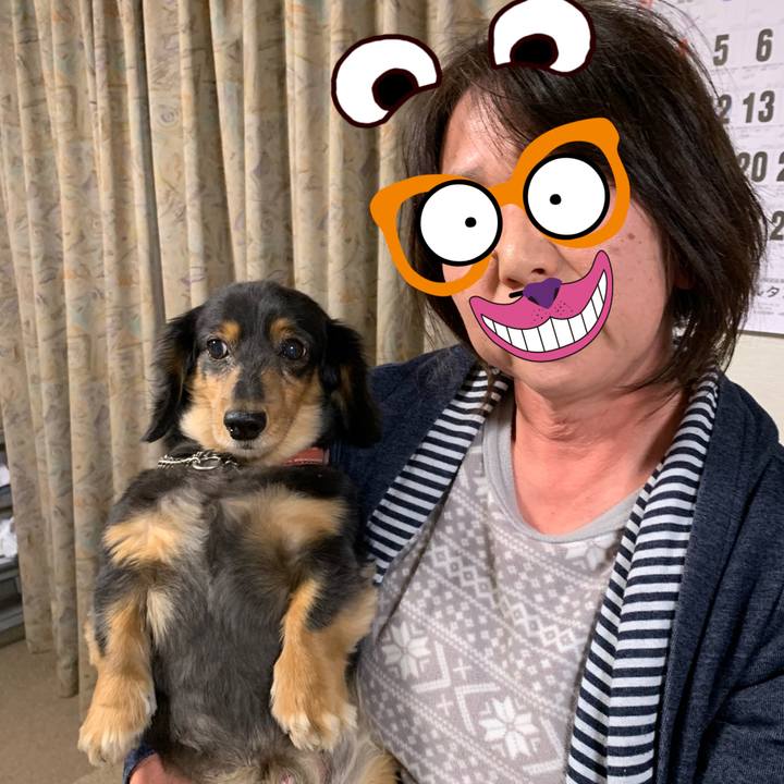 551f4798 c634 4a09 ad3a c8139f93cead 1574718325592