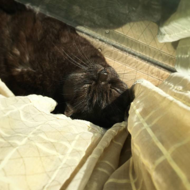 551f66f4 dedd 4e4c ab04 ff6155647bc7 1511673598266