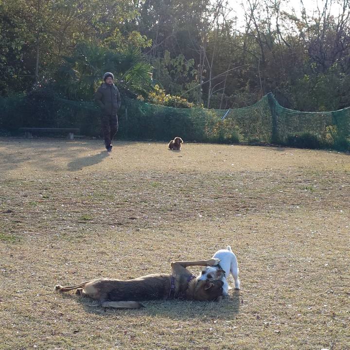 551f8029 0d81 49c4 8a32 0f6d045a8fb0 1733622710822