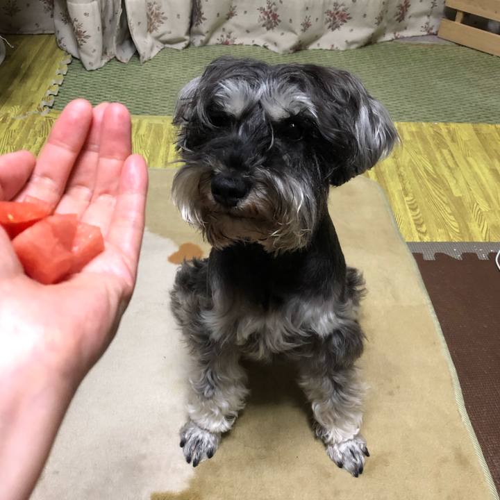 551f8cc8 e8e9 4fb8 97f8 6e5bc4791ad4 1558191130246