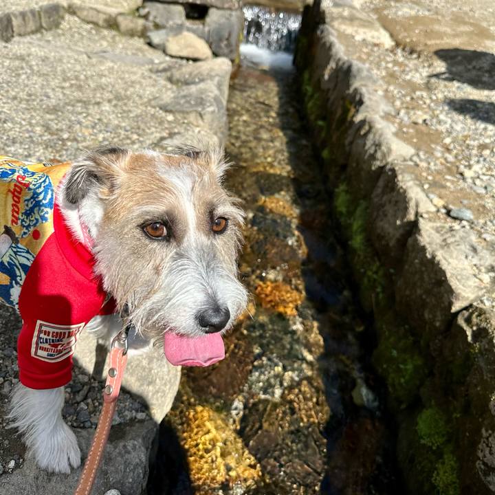 551fb3b9 da7e 4621 aefb 8b12ad32dec1 1697466912034