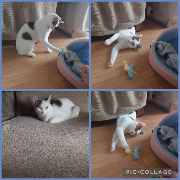 551fb4f8 24af 44b0 85b6 1cc307957de6 1691212968269