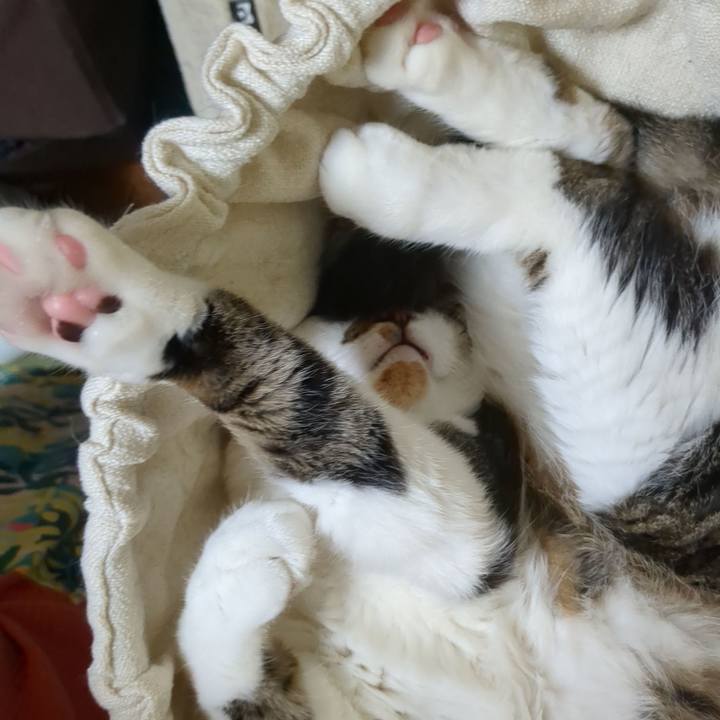 551fcd40 a9a7 4d24 a611 42b02327750c 1722075452742