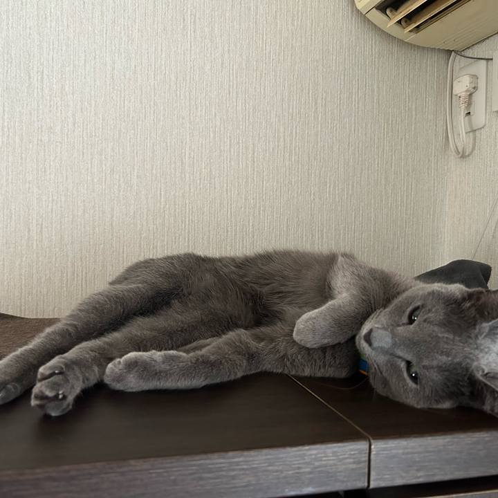 551fdbf8 f1b8 4a57 a947 907b5b806bf5 1699836431976