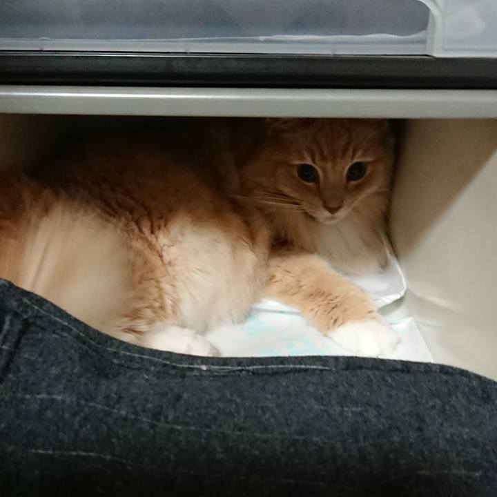 551fe75a c41e 4c44 b38f 1656b0140e40 1541083107154