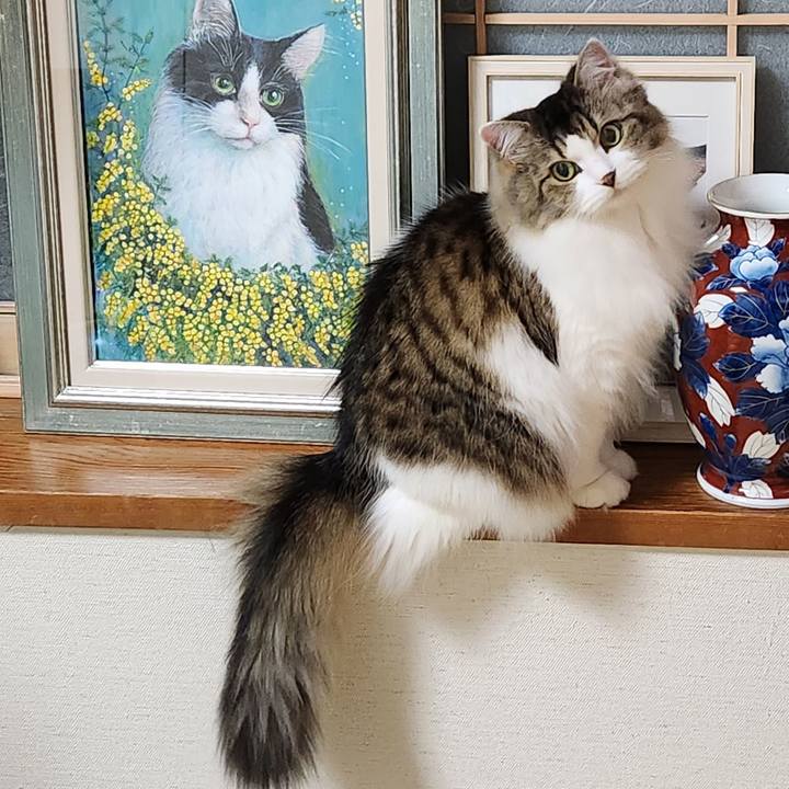 551fe87b ee53 467e 8649 e981f5248dc6 1703890903615