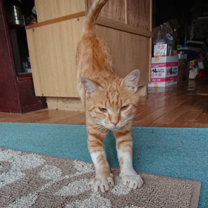 551fff2d 55ab 4971 9c76 2f7ac1f152cb 1562059179973