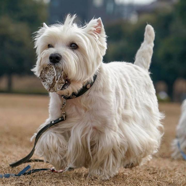 552023c3 fd70 45bd a514 67d0d979d87b 1518305024100