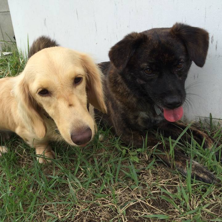 55203e7c cb4a 45c9 9fbb 522caa6bb570 1597753836274