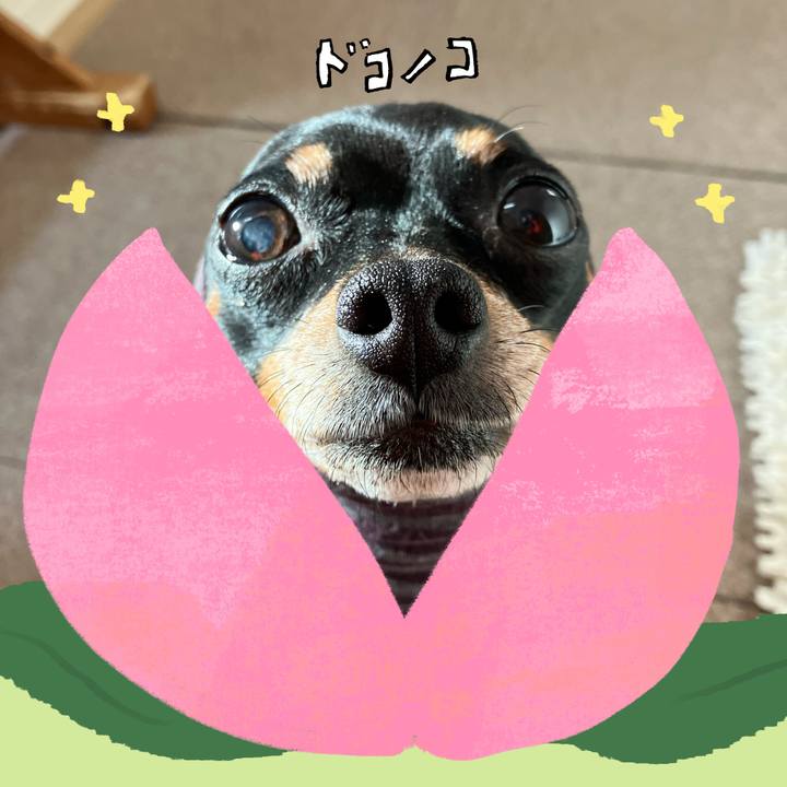 55204f90 332c 434f 87b6 efc98dfe0447 1771815071084