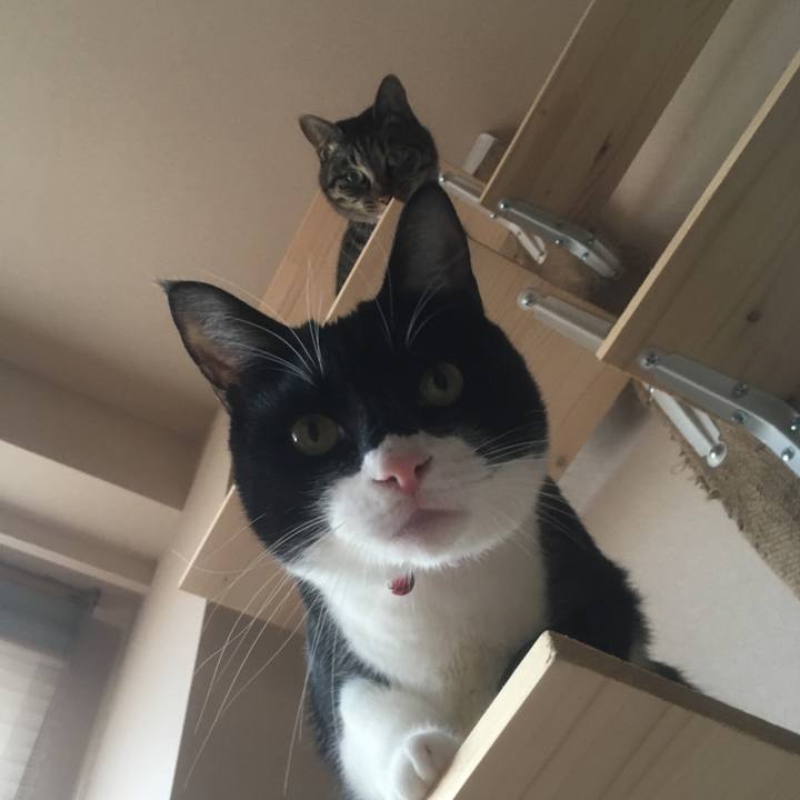 55207740 ab15 4e31 9637 077a88ad633b 1550814014563