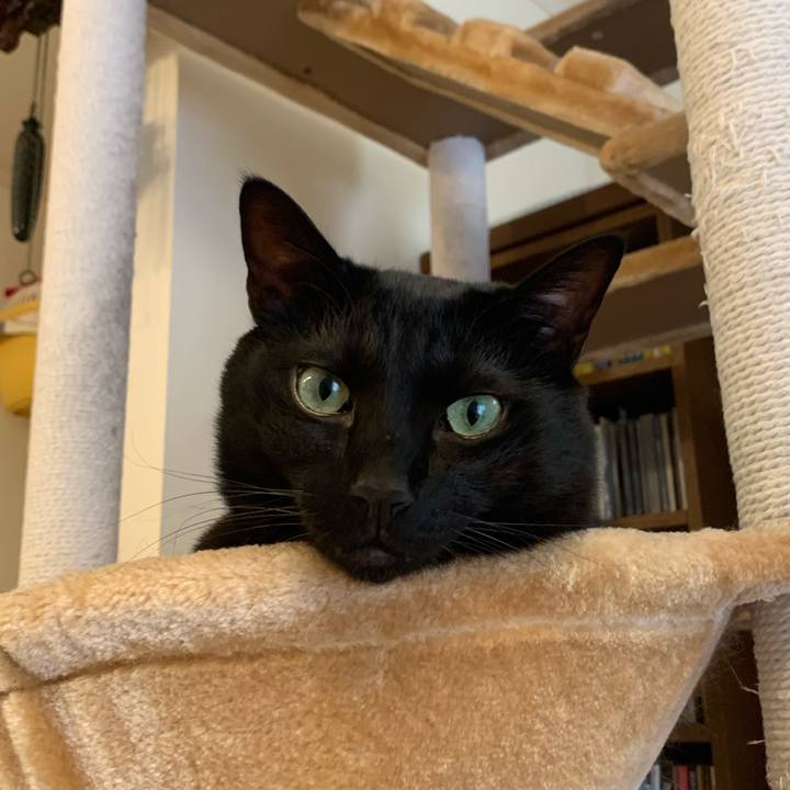 5520b2f2 78e4 4d27 9b47 d355ff79a501 1608701048860