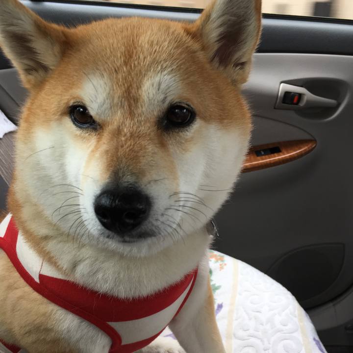 5520e208 dbf1 4f5e be87 6fc0de920559 1556853069073