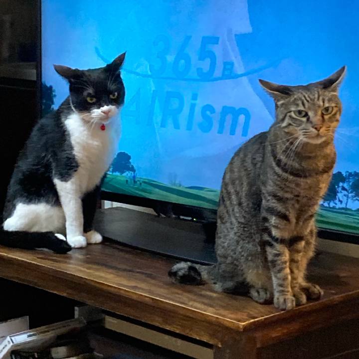 5520e5f0 c971 41d0 af33 3871ff5d79ec 1660442045156