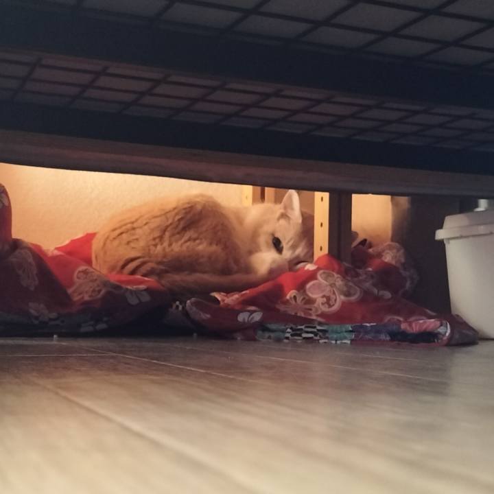 5521170d 2ff8 48a0 8f45 d0ff04f2afee 1662506660286