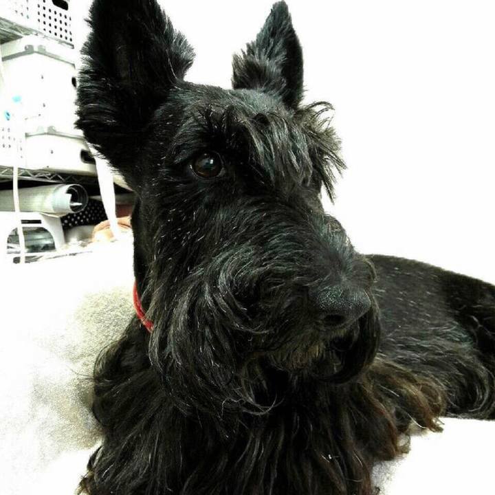 552120b8 b73c 47b0 96c3 68095404efe6 1544693932317