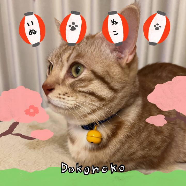 55215287 976e 4d76 9f87 78bd60a6df81 1712455430974