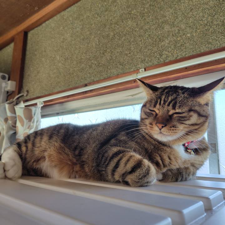 55219cb0 f049 43c9 919b dce1bd38c325 1763608334396