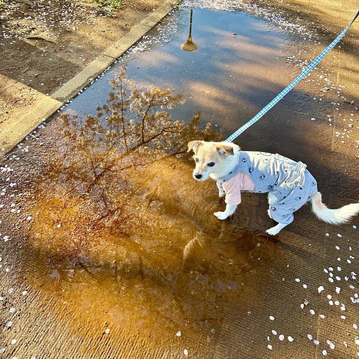 5521b583 3d9b 4768 bf1b 7a80c9d7da3f 1712706002860