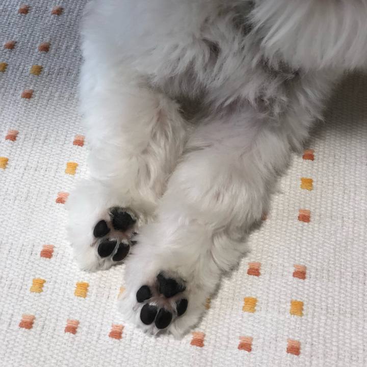 5521cade 88df 48e8 9712 b5a8061c1cc5 1524012760397