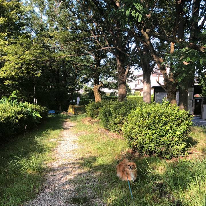 5521f6d3 7c63 422c 9cde 5c3d7230d978 1564964402354