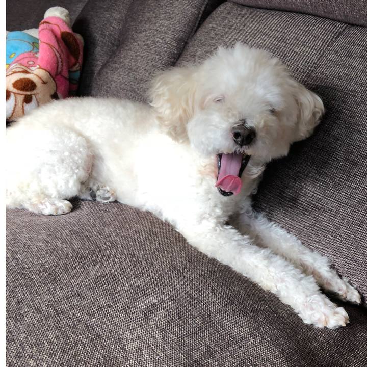 5522043a 3085 44d9 ad70 4cadfab9750b 1539943009847