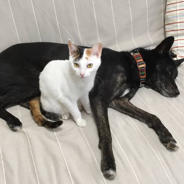 55224792 580b 4ed3 8cb9 0a2fe2b396fa 1546321736115