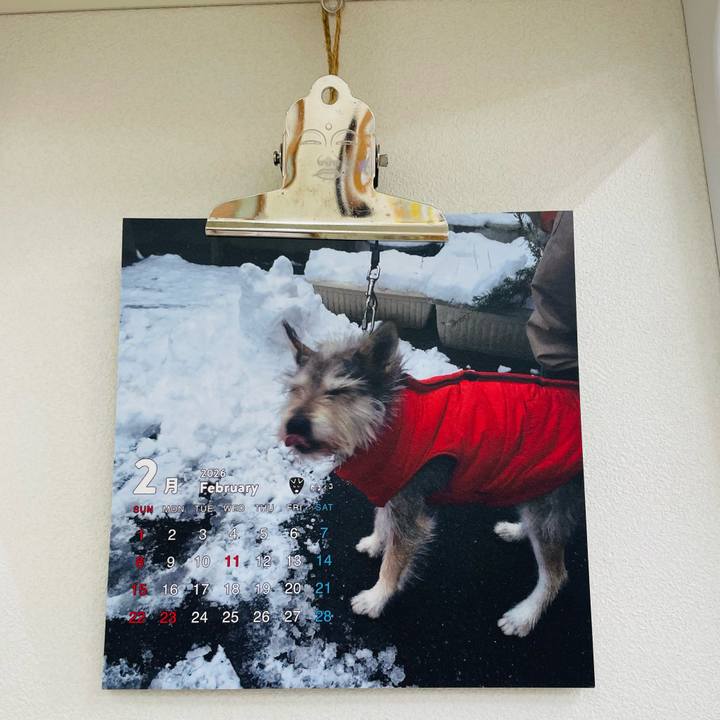 55224e5c 4fa3 4ac9 b363 5f4890dc9347 1770971382268