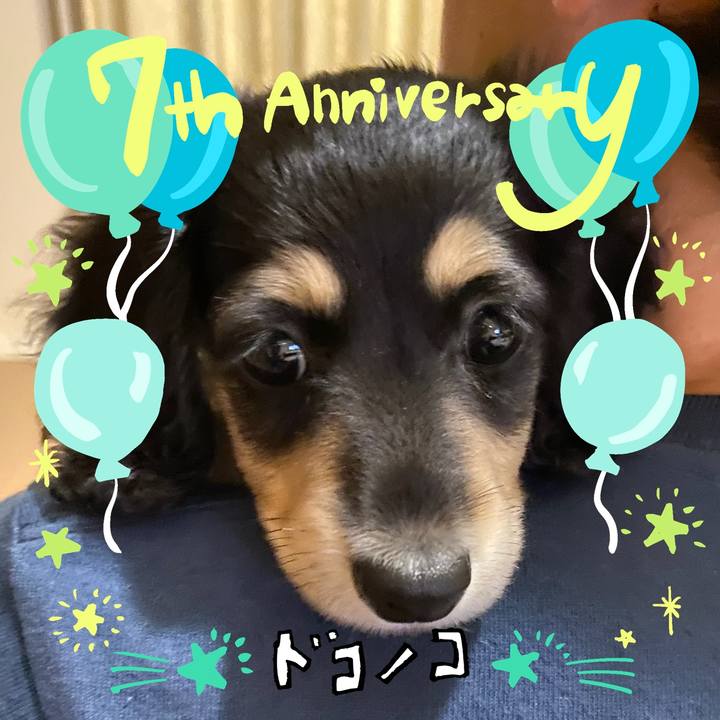 5522540a 43f2 4315 9d3e 36a75bbc9528 1685939529380