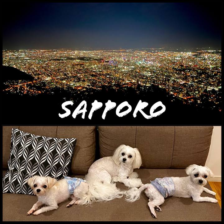 5522570d e6c8 4703 ac8f 3532a760109b 1661935040287