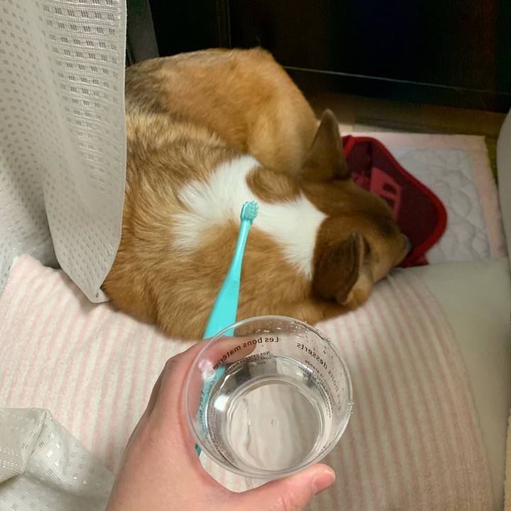 5522665f f5ea 459d a339 e39afdf9a25c 1577285229537