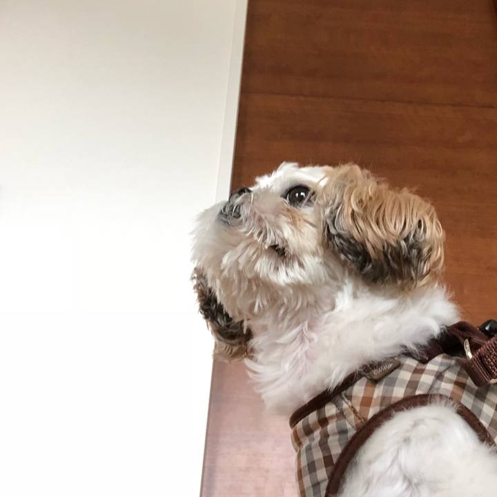 55226b91 2402 4832 a51f e20d2f1f3f10 1539640125035