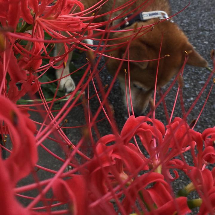 55229721 e6d4 471b 8420 37d1fe7c278b 1569479931855