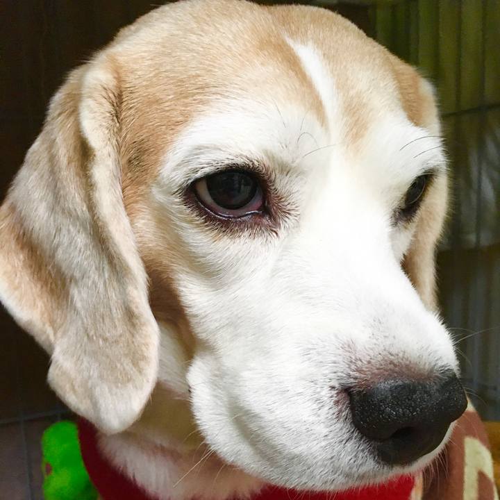 5522ab4d 4c6c 4af2 be0c ab49faed56b9 1578368291780