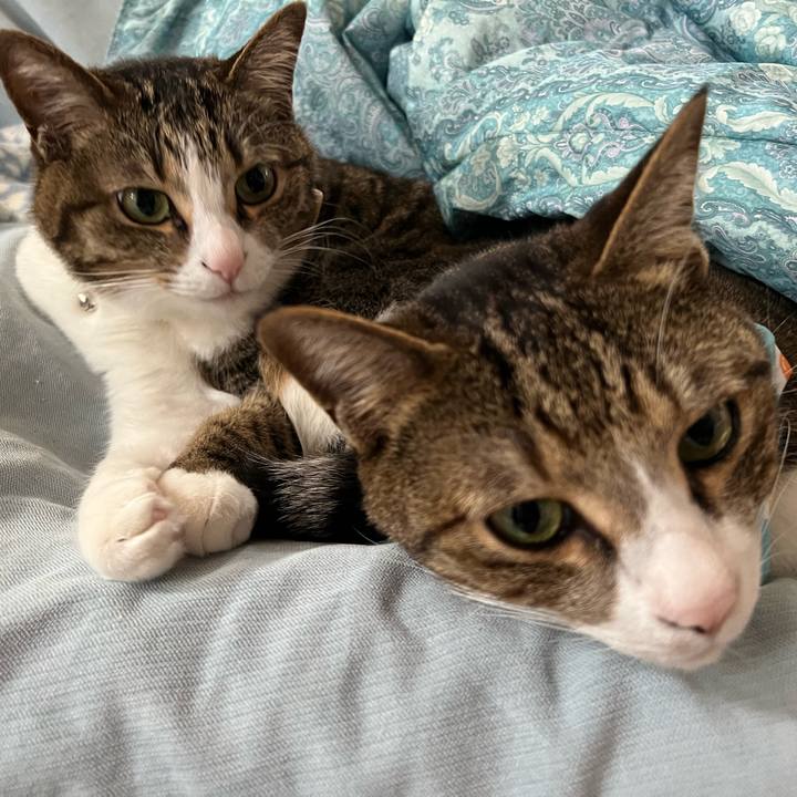 5522b49f 768f 4d8b afb9 a2dd3a11cf4a 1769483829375